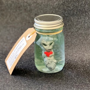 Puede incluir: Una pequeña figura de extraterrestre gris que sostiene un corazón rojo, sellada en un frasco de vidrio transparente con una tapa plateada. El frasco tiene una etiqueta de papel marrón adjunta con el texto "Highly Classified!"