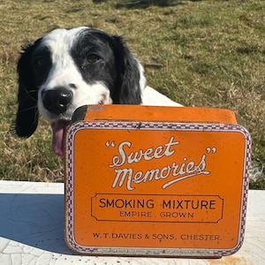 Pode incluir: Uma lata laranja com as palavras "Sweet Memories" e "Smoking Mixture" em letras brancas. Um cão preto e branco está no fundo.
