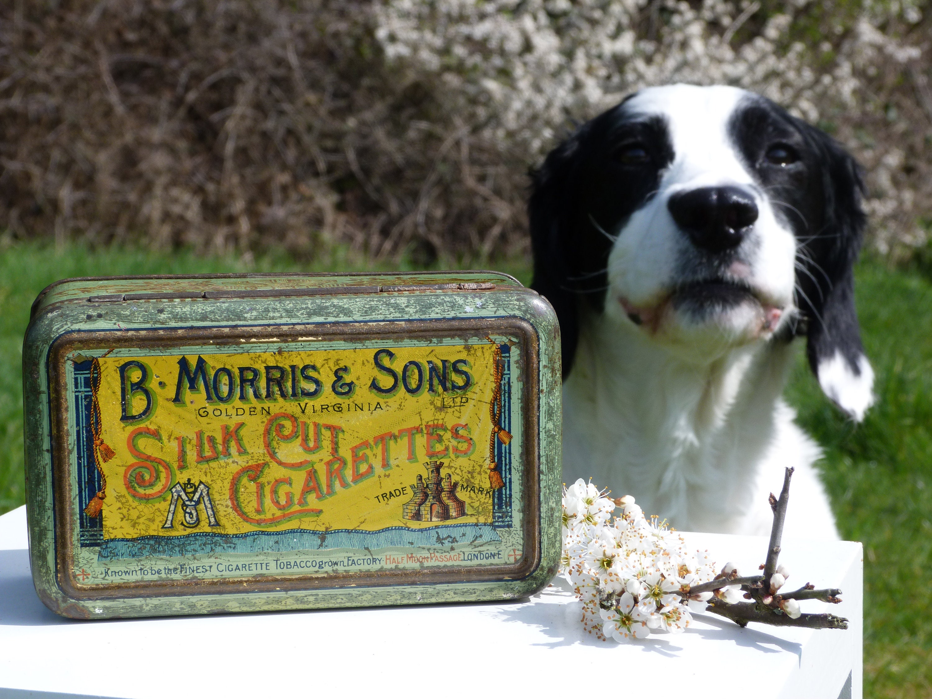 Rothmans Pall Mall Cigarette Tin For Sale C1920S VINTAGE ROTHMANS PALL MALL VIRGINIA CIGARETTE DE LUXE 100 SIZE TIN £25.99 - UK Rothmans Pall Mall Cigarette Tin Signs Australia