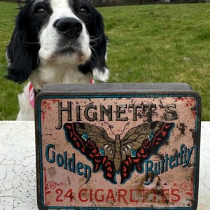 Rare Hignett's Golden Butterfly Flat 24 Cigarettes Tin