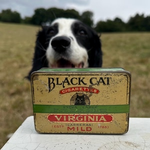 Vintage Carreras Black Cat &#39;Extra Large&#39; Virginia Mild Cigarette Tin