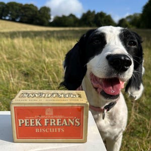 Vintage Peek Frean&#39;s & Co. Sample Biscuit Tin