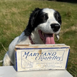 Rara scatola di sigarette vintage "Maryland" (John Hollingsworth, Birmingham)