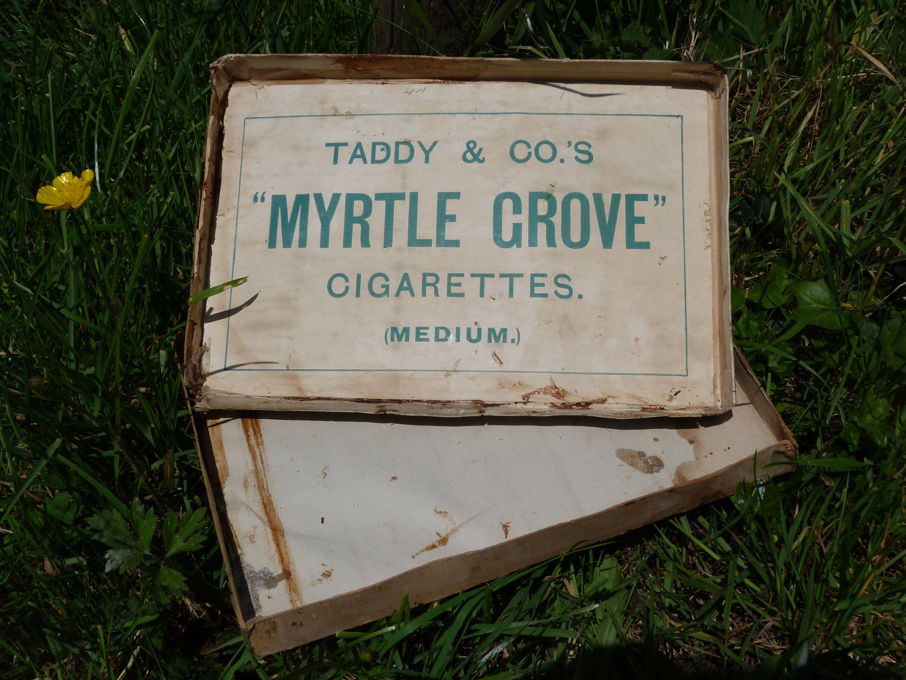 Rare Taddy & Co.'s 'myrtle Grove' Cigarette Box Etsy UK