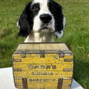 May include: A yellow and brown vintage tin box with the text "Carr's Carlisle Biscuits" on the front. A black and white dog is looking at the box.