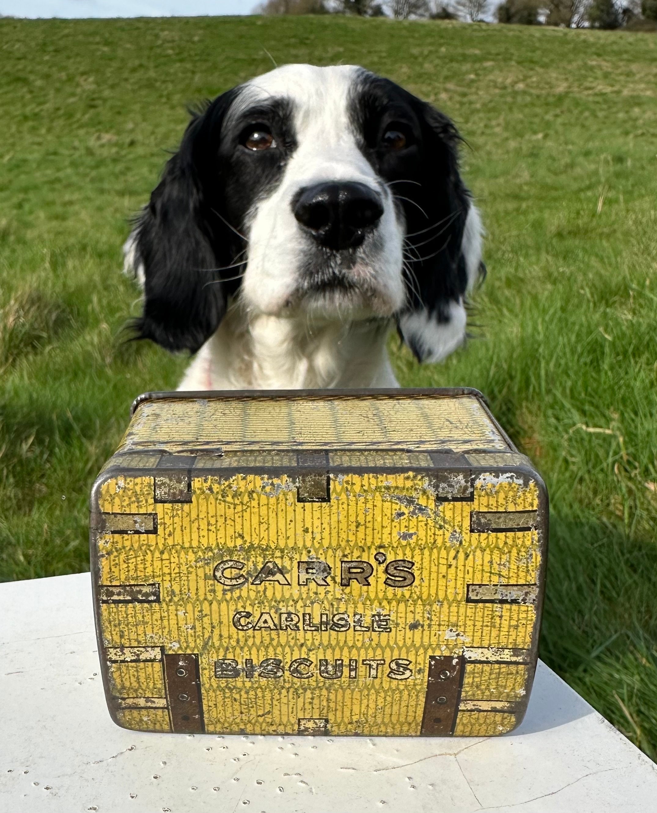 Antique biscuit tin - Etsy 日本
