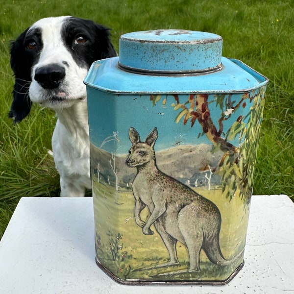 Scarce Vintage Bushells Embossed Australian Tea Caddy Tin