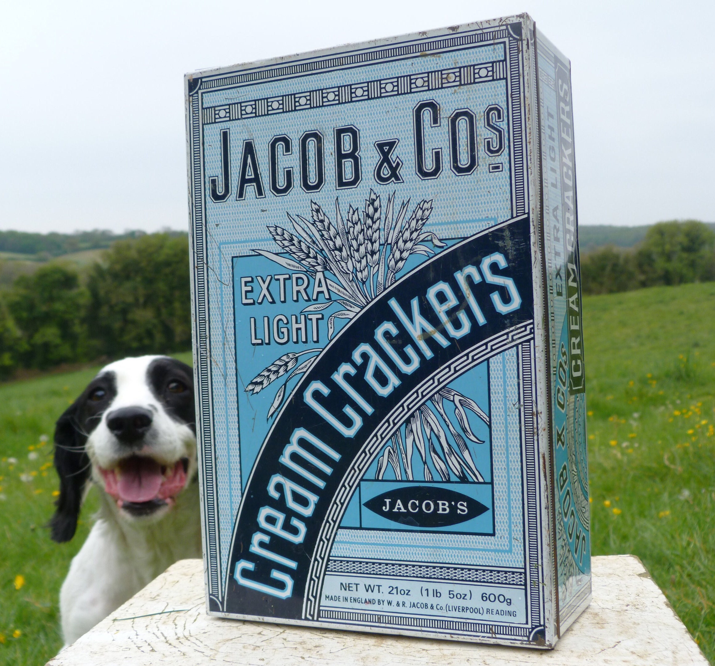 Can Dogs Eat Jacobs Cream Crackers