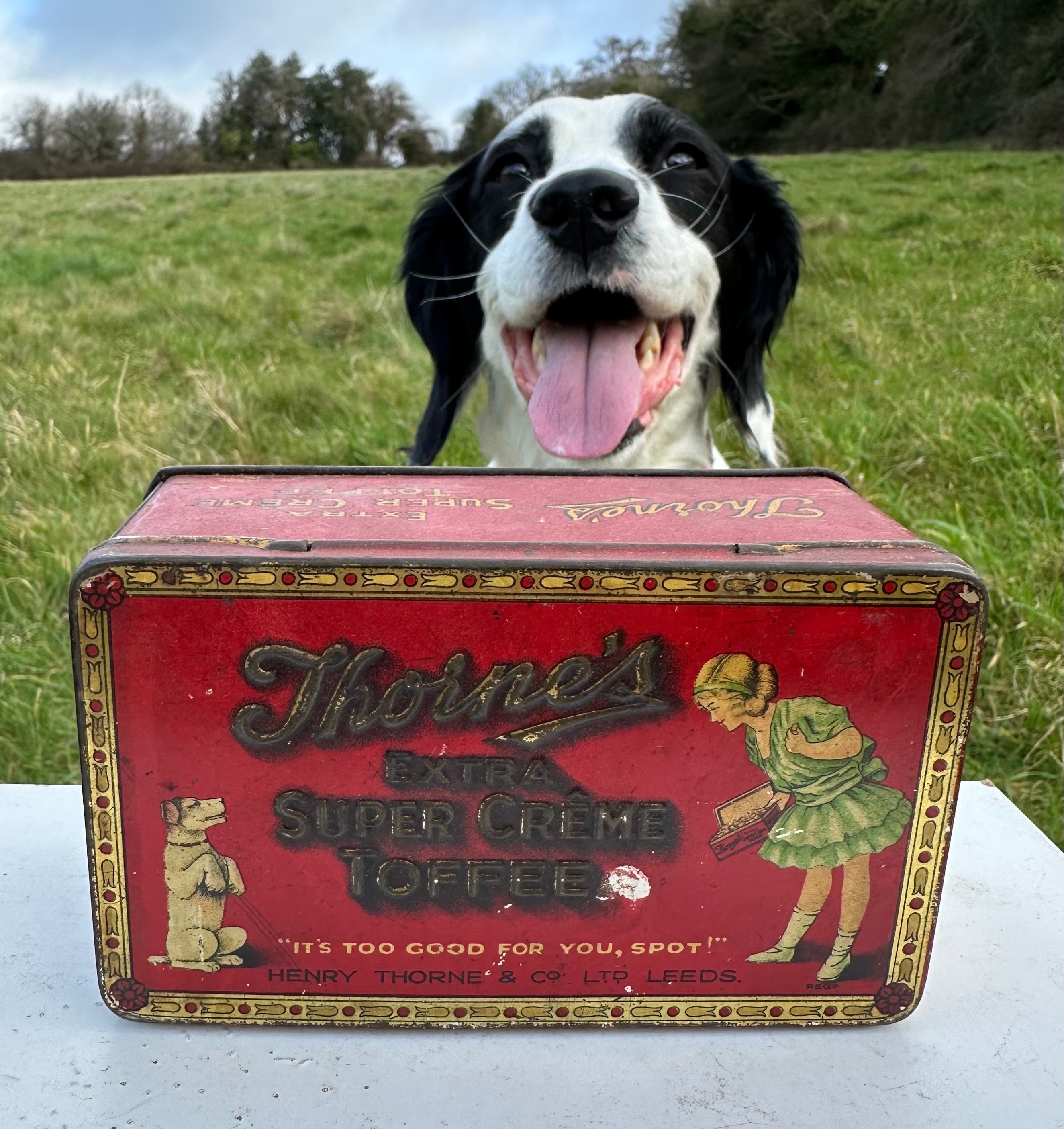 Vintage Medium Sized Thorne's Extra Super Creme Toffee Tin (leeds