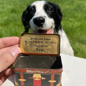 May include: An open, vintage tea tin with the text "Drink and Enjoy E. Seymour Mead's Magnificent Tea." The tin is black with red and gold accents. A black and white dog is in the background.