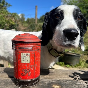Könnte beinhalten: Eine kleine, rote Vintage-Postbox mit dem Wort "OFFICE" darauf. Die Postbox hat einen gewölbten Deckel und einen Schlitz für Briefe. Im Hintergrund ist ein schwarz-weißer Hund mit grünem Halsband zu sehen.