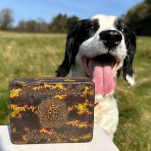 May include: A vintage, rectangular, metal cigarette tin with a tortoiseshell pattern. The tin has the words "Fournissell Cigarettes" printed on it in gold lettering.