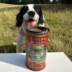 Rare Antique &#39;Mineral Spring&#39; Health Granules Tin (Bardsley)