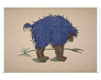 Of The Dogge