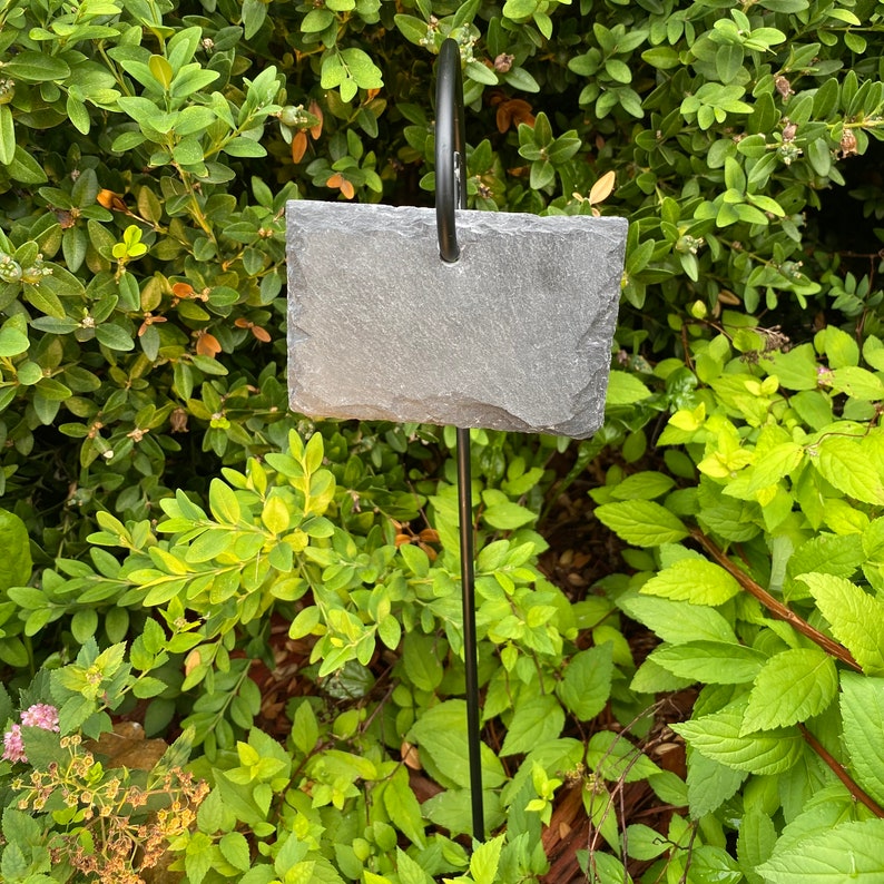 A garden marker reading 'Coco's Garden, Planted 2021' against a backdrop of lush green leaves.