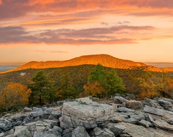 Impresión fotográfica de follaje otoñal para pared, colores otoñales, hojas otoñales, Shenandoah Skyline Drive, fotografía de paisajes, follaje otoñal, impresión artística