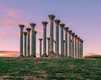 Arboreto Nacional de las Columnas del Capitolio, Fotografía de Washington D. C., Decoración de pared de Washington D. C., Impresión de Washington D. C., Monumento Nacional, Foto del atardecer