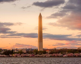 Cherry Blossom Festival Photo, Washington DC Photography Print, Washington Monument, Tidal Basin, DC Wall Art, National Mall DC Architecture