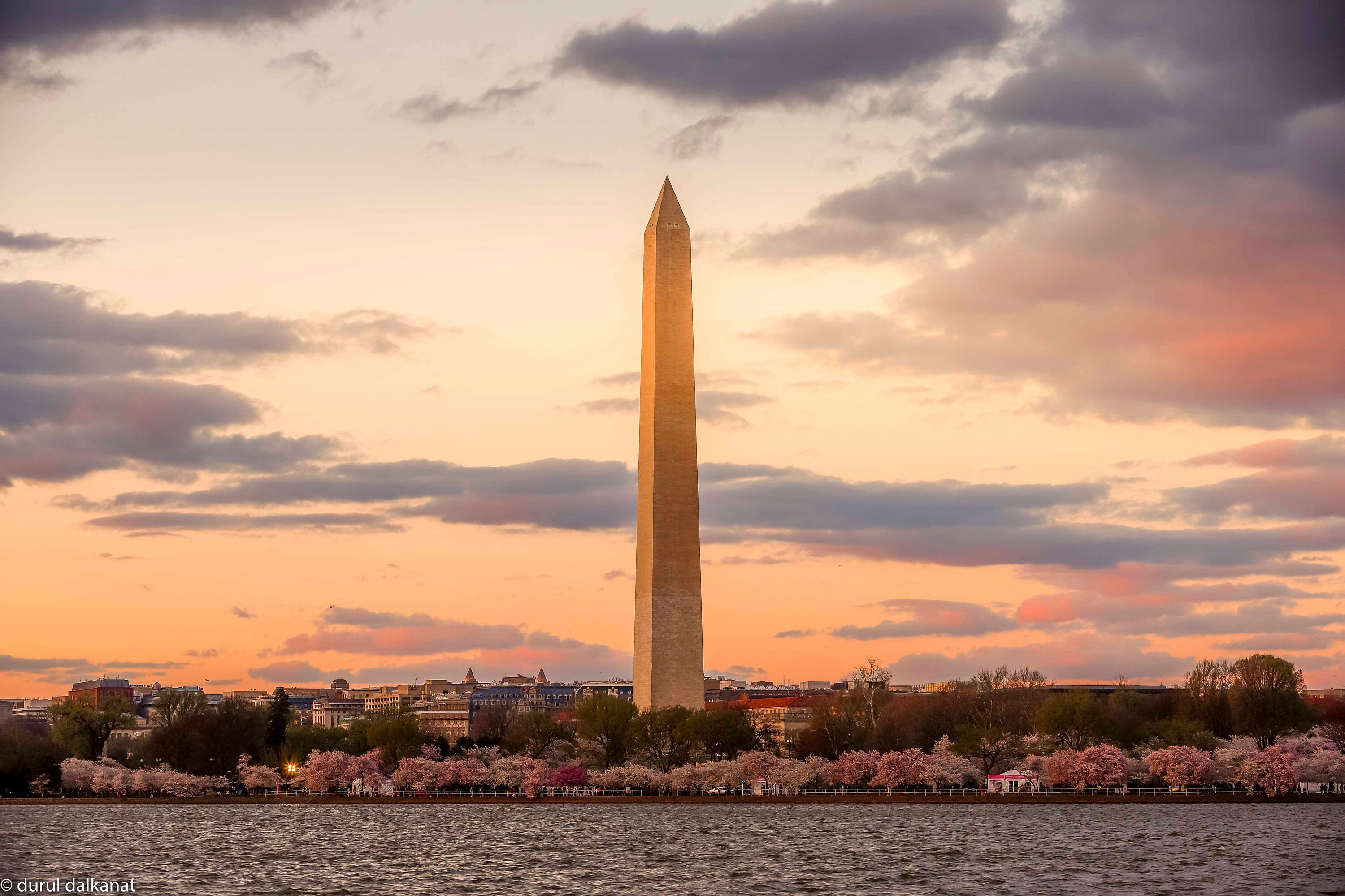 photoexpress washington dc photoexpress washington dc