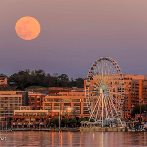 Ferris Wheel at the National Harbor, Washington DC Photography, DC Wall Art Decor, Cityscape, DC photo print, Landscape, Super Moon