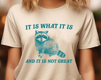 It Is What It Is And It Is Not Great Vintage Drawing Digital File, Funny Raccoon Meme PNG, Funny Trash Panda Merch, Funny Trash Panda Png