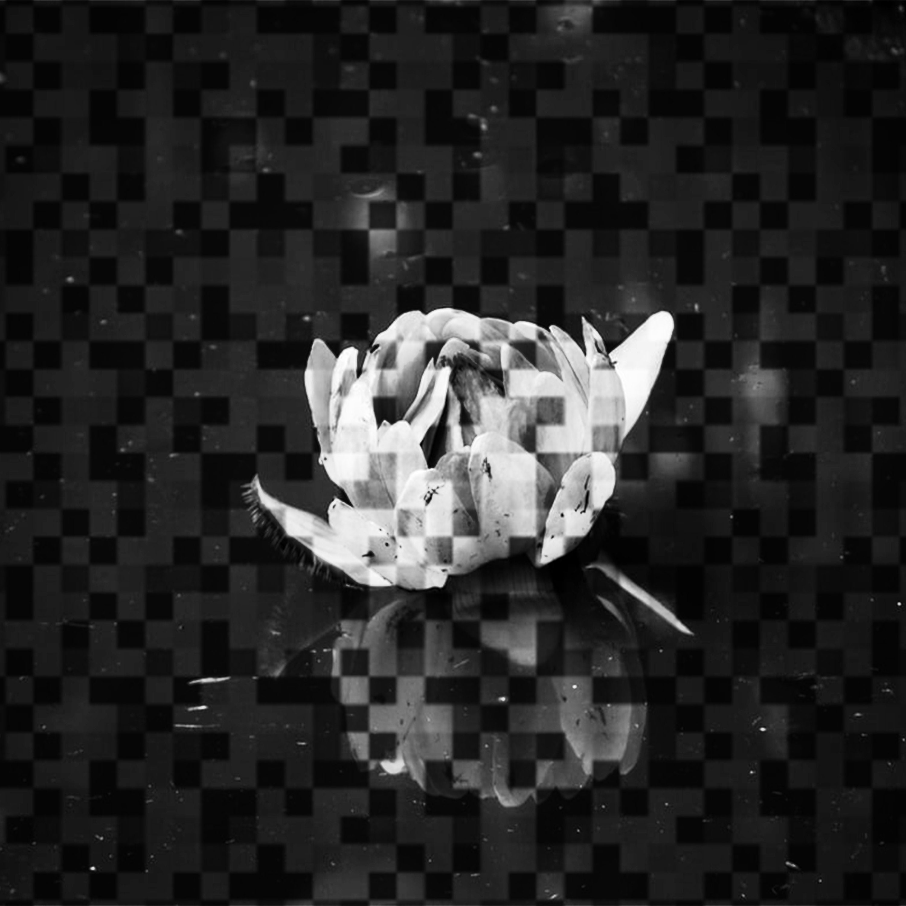 Pixel Flower Aesthetic Pixel Art Print Wall Decor Etsy