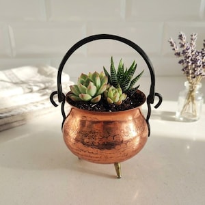 Puede incluir: Una pequeña maceta de cobre martillado con forma de caldero, tres patas cortas y un asa giratoria de metal negro. El recipiente contiene tierra oscura y dos plantas suculentas verdes, una con hojas redondeadas y otra con hojas puntiagudas y rayadas.