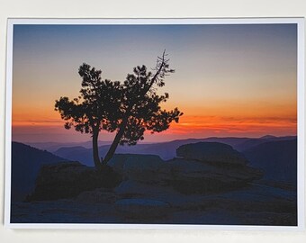 Tree Silhouette at Sunset from Sentinel Dome, Yosemite National Park, California - Greeting Card