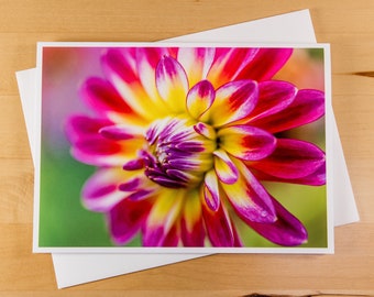 Magenta dahlia card - blank greeting card - from Seattle, Washington