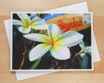 White Plumeria Flower in Maui, Hawaii - Greeting Card