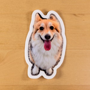 Corgi waterproof sticker | vinyl glossy corgi sticker | laptop water bottle notebook sticker | pembroke welsh corgi | uv protected durable