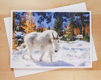 Mountain Goat & Larches in the Enchantments, Washington - Greeting Card