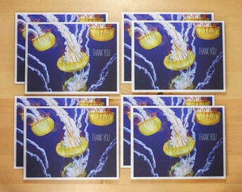 Jellyfish Thank You Note Cards - 8 card (A2) set