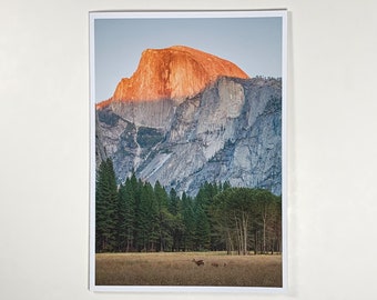 Half Dome & Deer at Sunset, Yosemite National Park, California - Greeting Card