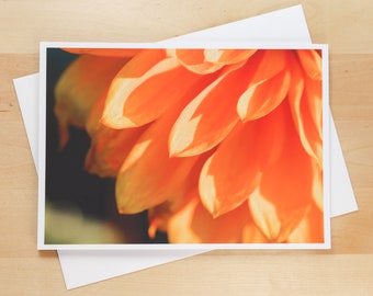 Dahlia, Coral & Orange, in Sunset Golden Hour Light - Greeting Card