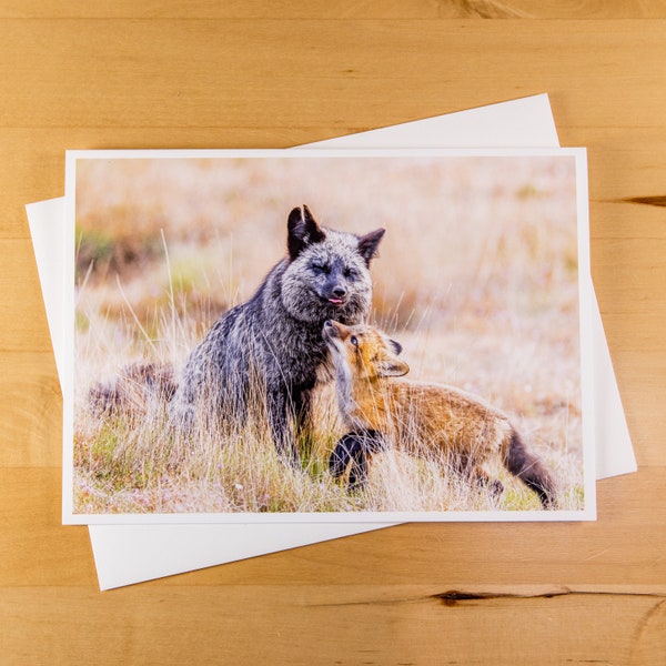 Fox Love blank greeting card - San Juan Island, Washington