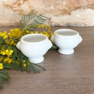 Set of 2 French Classic White Porcelain Herb and/or Salt Containers