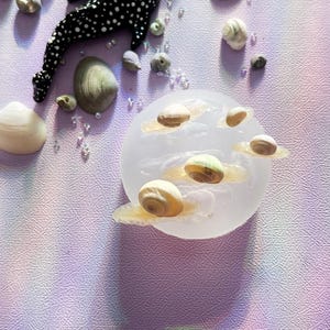 May include: A circular, translucent silicone mould containing several small, light-coloured snail shells arranged on its surface. The mould is surrounded by various loose seashells and a black and white spotted figurine on a textured, light purple surface.