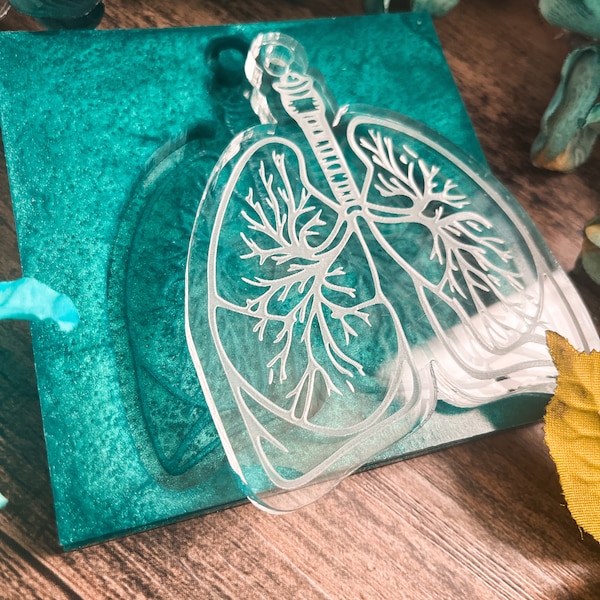 Anatomical Lungs Etsy