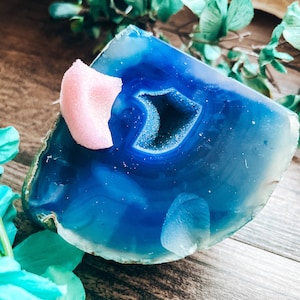 May include: A polished blue agate geode slice with a central crystal cavity. The geode features a gradient of blue hues and a light pink, irregular-shaped object on top. The background includes wooden planks and green foliage.