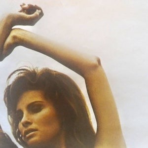 1973 Raquel Welch Original Vintage Poster | Etsy