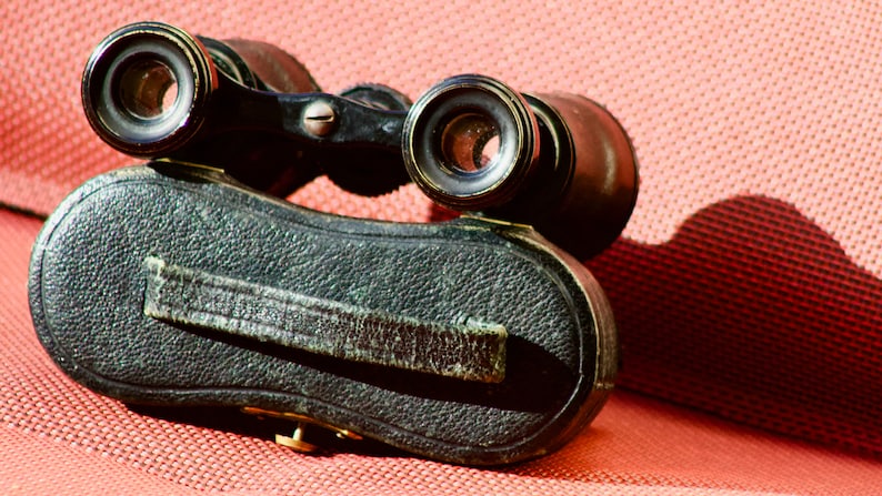 Authentic Theatre Twins Napoleon Model Opera Goggles in Leather and Golden Laiton