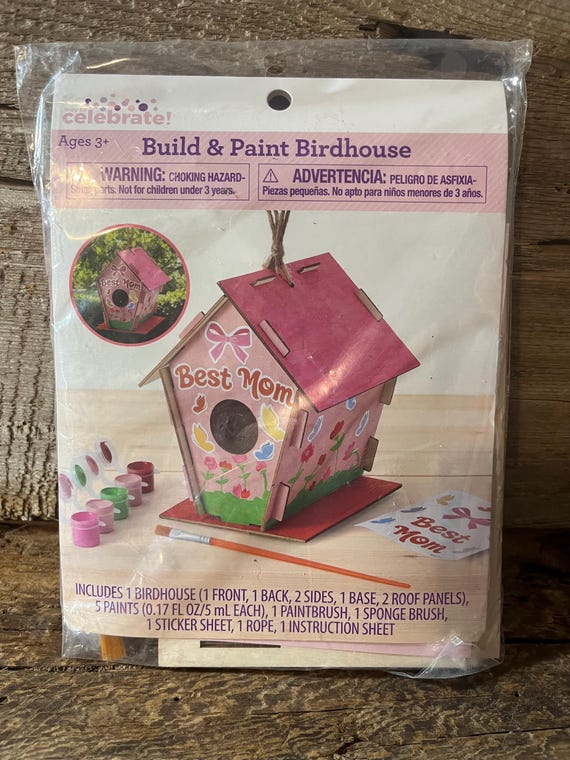 DIY Build & Paint Birdhouse Kit for Kids and Mothers – Fun Craft Activity Gift