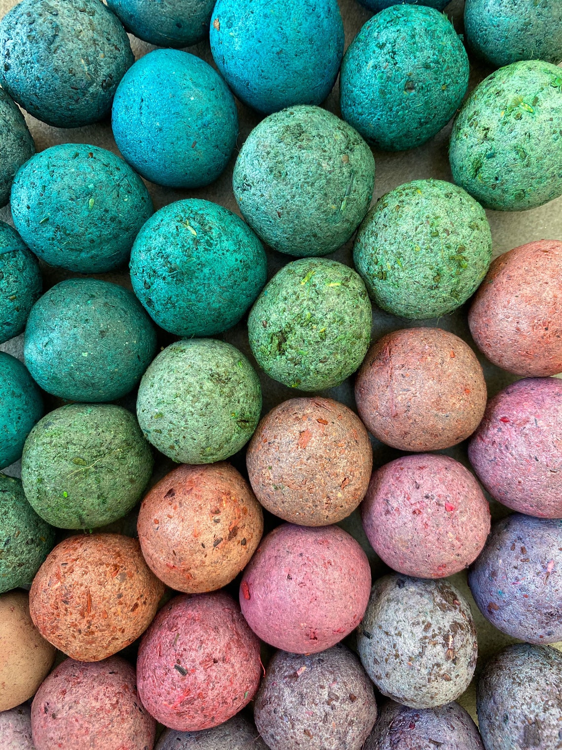 Beautiful coloured wildflower Seed Bombs Wildflower seeds UK Etsy