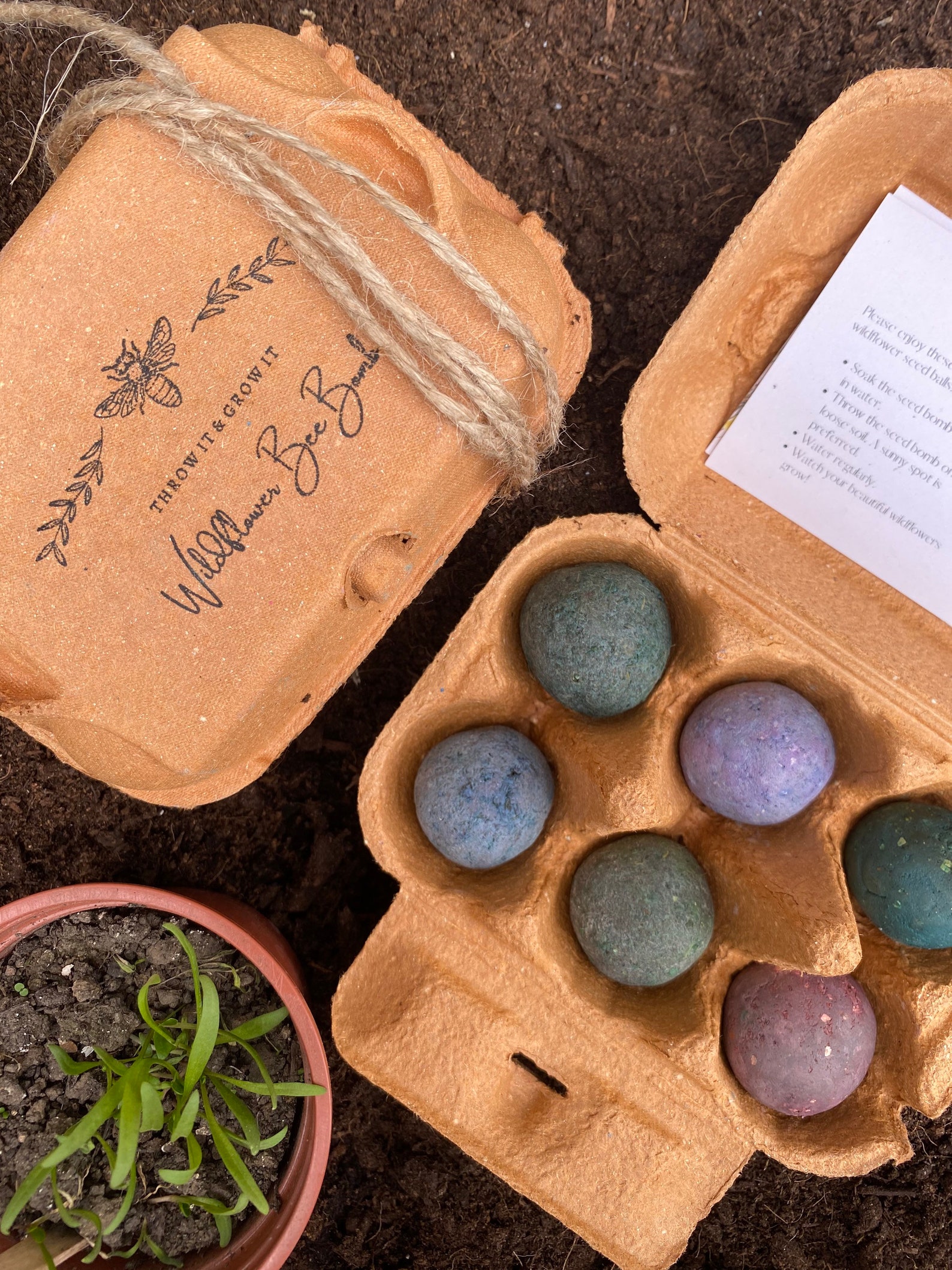 Beautiful coloured wildflower Seed Bombs Wildflower seeds UK Etsy