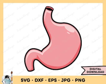 Estômago SVG Estômago PNG Corpo Medicina Clip Art Arquivo de Corte Silhueta Download Digital Instantâneo