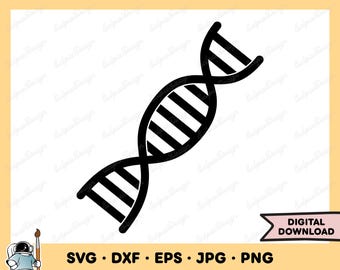 DNA ストランド STRAND 鎖 15p DNA複製の基本プロセス | DNAの構造と複製
