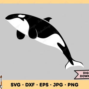 Killer Whale SVG Killer Whale PNG Orca Clip Art Cut File Silhouette Instant Digital Download