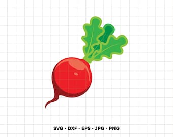 Radish SVG Clipart PNG Cricut Silhouette (Instant Digital Download)