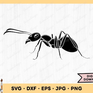 Ant SVG Insect Clip Art Ant Cut File Ant Silhouette Instant Digital Download